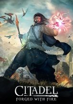 Citadel: Forged with Fire